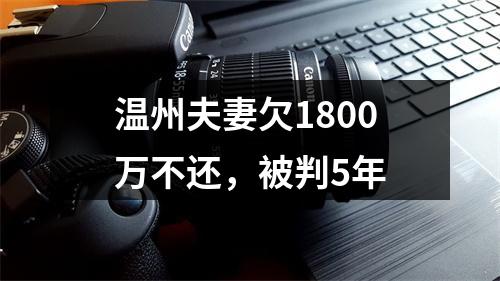 温州夫妻欠1800万不还，被判5年