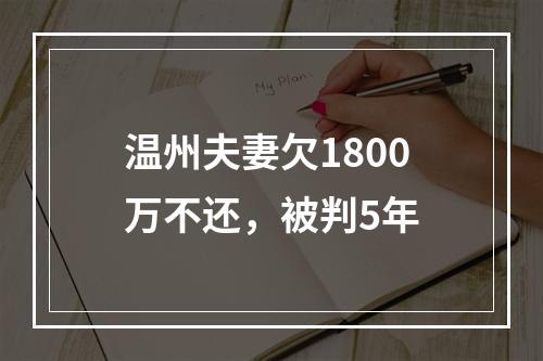 温州夫妻欠1800万不还，被判5年