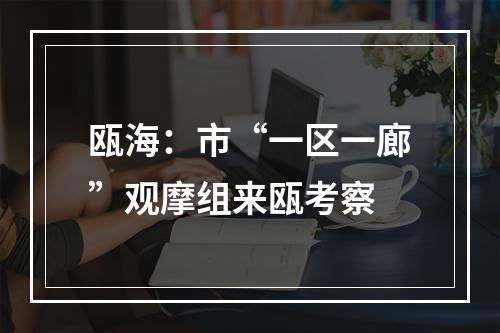 瓯海：市“一区一廊”观摩组来瓯考察