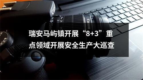 瑞安马屿镇开展“8+3”重点领域开展安全生产大巡查