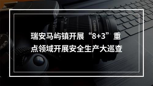 瑞安马屿镇开展“8+3”重点领域开展安全生产大巡查