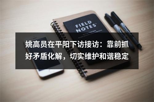 姚高员在平阳下访接访：靠前抓好矛盾化解，切实维护和谐稳定