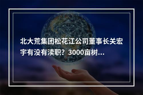 北大荒集团松花江公司董事长关宏宇有没有渎职？3000亩树莓被毁！
