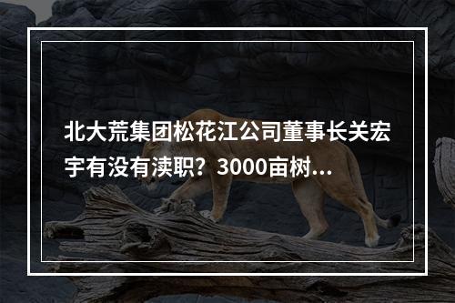 北大荒集团松花江公司董事长关宏宇有没有渎职？3000亩树莓被毁！