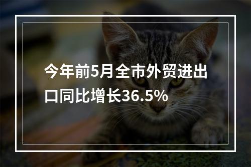 今年前5月全市外贸进出口同比增长36.5%