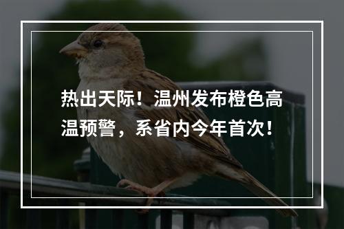 热出天际！温州发布橙色高温预警，系省内今年首次！