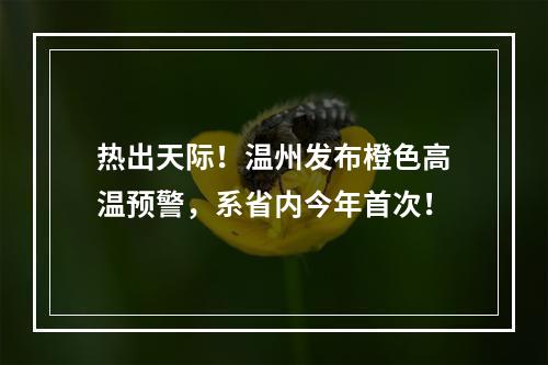 热出天际！温州发布橙色高温预警，系省内今年首次！