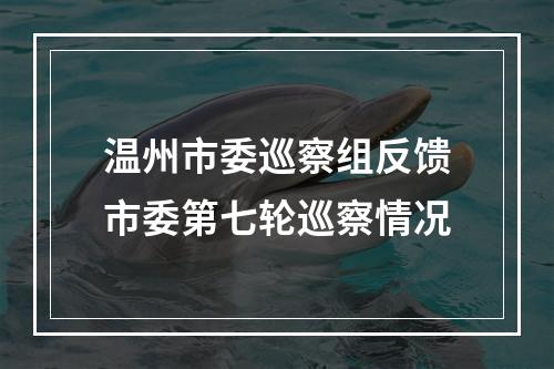 温州市委巡察组反馈市委第七轮巡察情况