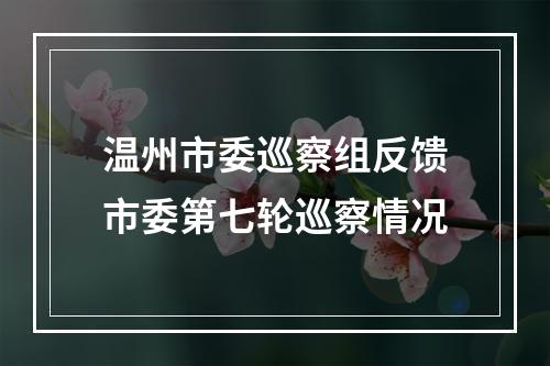 温州市委巡察组反馈市委第七轮巡察情况