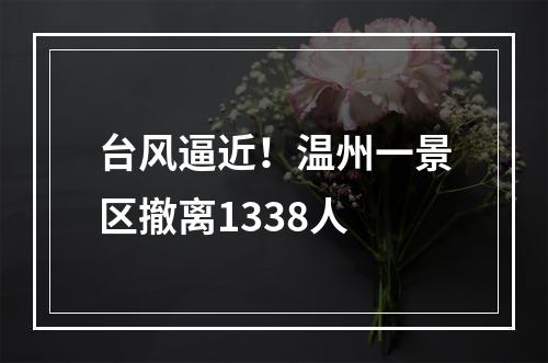 台风逼近！温州一景区撤离1338人