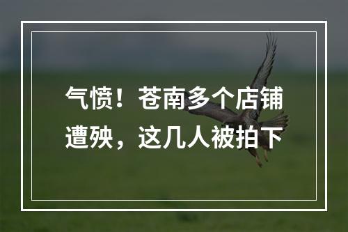 气愤！苍南多个店铺遭殃，这几人被拍下