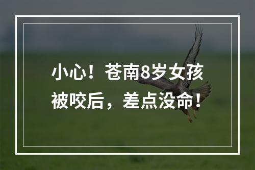 小心！苍南8岁女孩被咬后，差点没命！