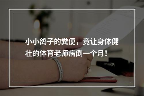 小小鸽子的粪便，竟让身体健壮的体育老师病倒一个月！