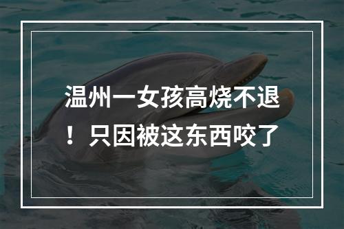 温州一女孩高烧不退！只因被这东西咬了