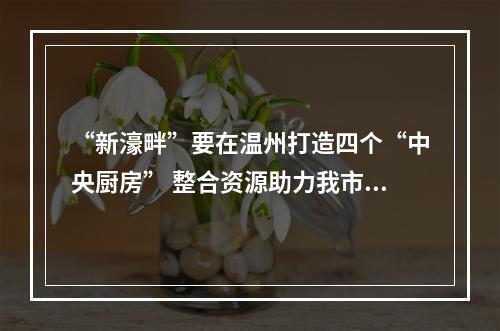 “新濠畔”要在温州打造四个“中央厨房” 整合资源助力我市鞋产业大提升
