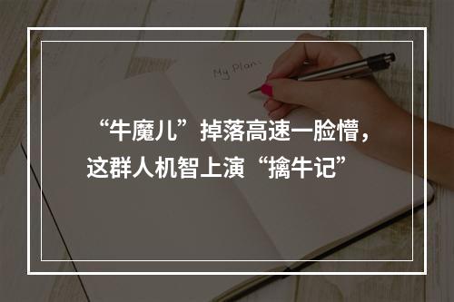 “牛魔儿”掉落高速一脸懵，这群人机智上演“擒牛记”