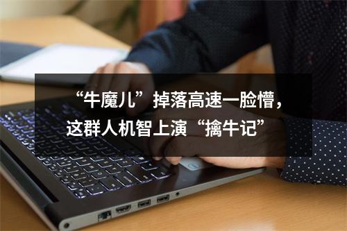 “牛魔儿”掉落高速一脸懵，这群人机智上演“擒牛记”