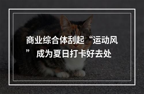 商业综合体刮起“运动风” 成为夏日打卡好去处