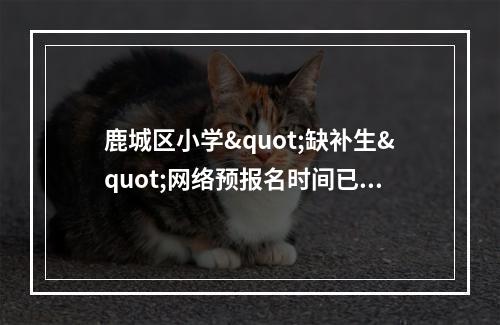 鹿城区小学"缺补生"网络预报名时间已定！