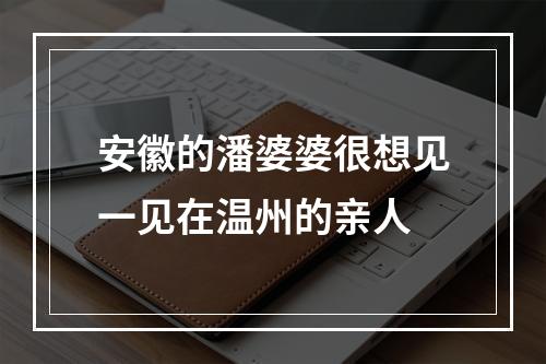 安徽的潘婆婆很想见一见在温州的亲人