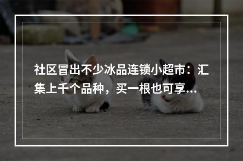 社区冒出不少冰品连锁小超市：汇集上千个品种，买一根也可享受会员价