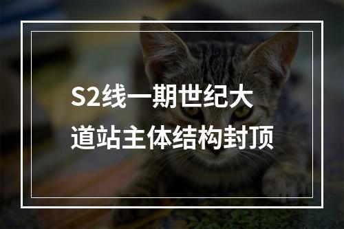 S2线一期世纪大道站主体结构封顶