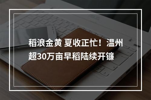 稻浪金黄 夏收正忙！温州超30万亩早稻陆续开镰
