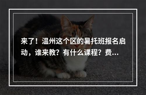 来了！温州这个区的暑托班报名启动，谁来教？有什么课程？费用多少？有答案了！