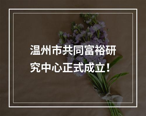 温州市共同富裕研究中心正式成立！