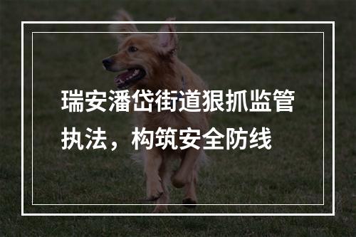 瑞安潘岱街道狠抓监管执法，构筑安全防线