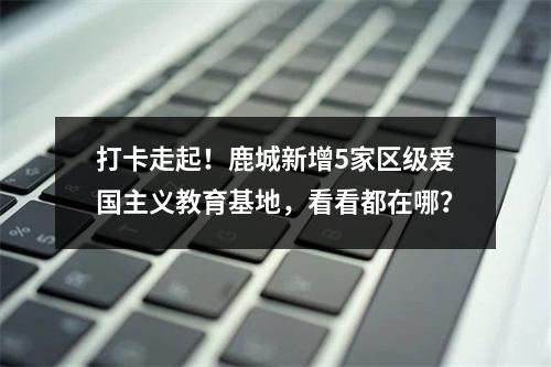 打卡走起！鹿城新增5家区级爱国主义教育基地，看看都在哪？