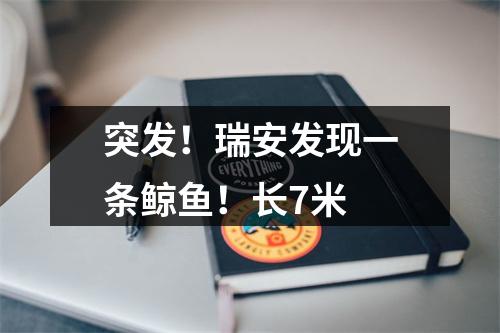 突发！瑞安发现一条鲸鱼！长7米