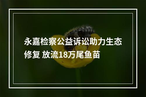 永嘉检察公益诉讼助力生态修复 放流18万尾鱼苗