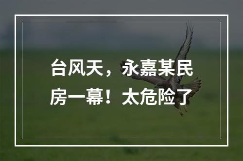 台风天，永嘉某民房一幕！太危险了