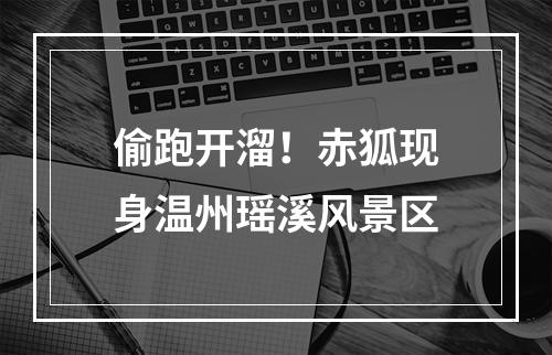 偷跑开溜！赤狐现身温州瑶溪风景区
