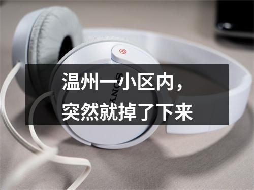 温州一小区内，突然就掉了下来