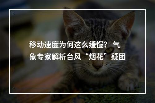 移动速度为何这么缓慢？ 气象专家解析台风“烟花”疑团