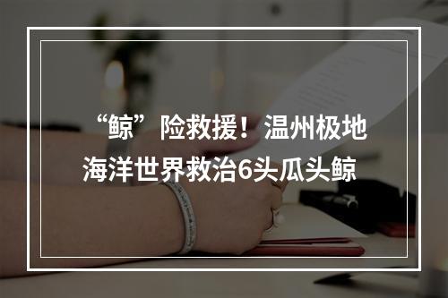 “鲸”险救援！温州极地海洋世界救治6头瓜头鲸