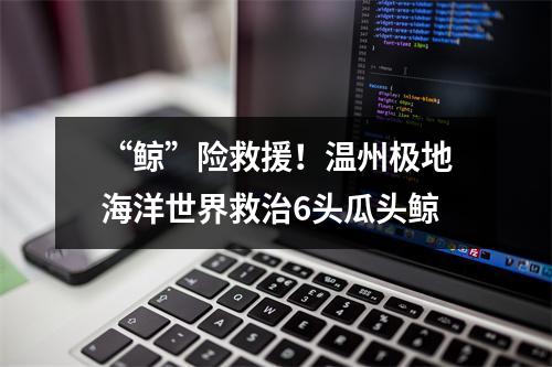 “鲸”险救援！温州极地海洋世界救治6头瓜头鲸