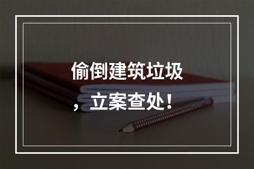 偷倒建筑垃圾，立案查处！