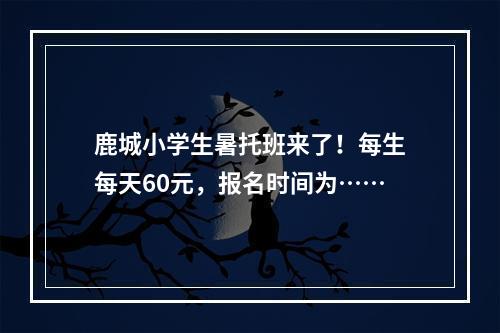 鹿城小学生暑托班来了！每生每天60元，报名时间为……