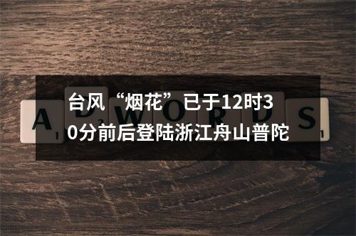台风“烟花”已于12时30分前后登陆浙江舟山普陀