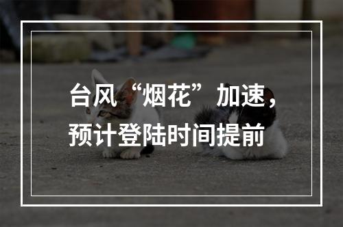 台风“烟花”加速，预计登陆时间提前