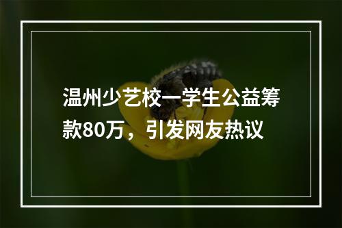 温州少艺校一学生公益筹款80万，引发网友热议