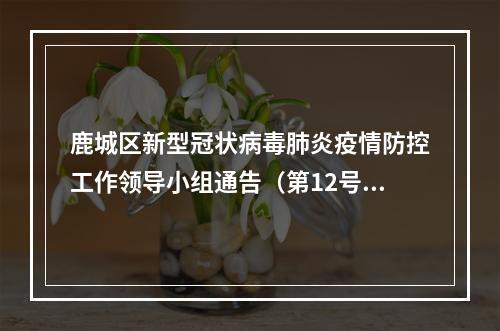 鹿城区新型冠状病毒肺炎疫情防控工作领导小组通告（第12号）