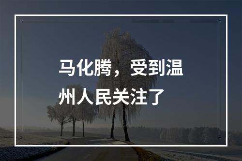 马化腾，受到温州人民关注了