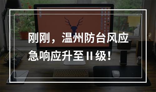 刚刚，温州防台风应急响应升至Ⅱ级！