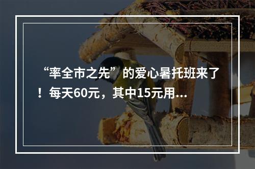 “率全市之先”的爱心暑托班来了！每天60元，其中15元用于午餐