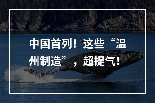 中国首列！这些“温州制造”，超提气！