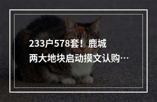 233户578套！鹿城两大地块启动摸文认购…